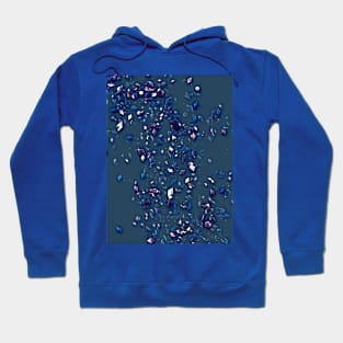 Blue Jewels Hoodie